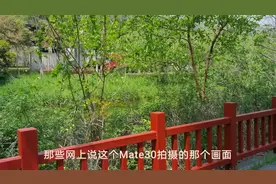 网传华为mate30拍摄画质偏色严重，是真是假一起来看……视频封面