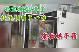 开宠物店7年了 我终于拥有了一台宠物烘干箱 这个价划算吗视频封面