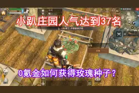 明日之后746：0氪金如何获得玫瑰花种子？小趴已经拥有2包了！