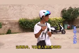农村小伙捡到一只鸽子，身上满是肌肉像是赛鸽，我怎么联系失主？视频封面
