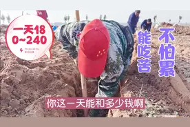 适合50～60多岁男女干的活，一天8小时，一个月能挣5000~6000视频封面