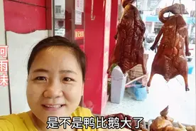 烧腊快餐店:今天的明炉烧鸭竟然比烧鹅还大，快餐店老板要骂人了