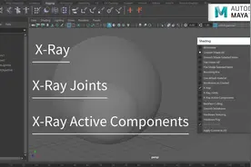 Maya着色模式下 X-Ray(Joints/ Active Components) 有什么作用？视频封面