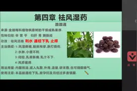 执业中药师专业知识二——路路通