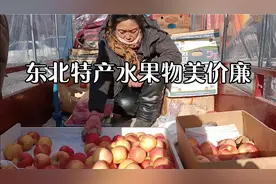 东北特产水果物美价廉，南果梨1元一斤，国光苹果2元一斤视频封面