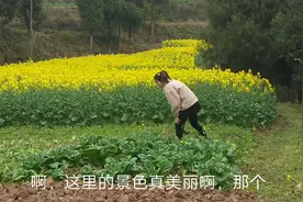 农村疫情解封，乡农小夫妻喜气洋洋上山摘菜，乡间的春天格外美丽视频封面