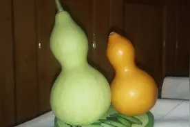 怎样处理新摘的葫芦