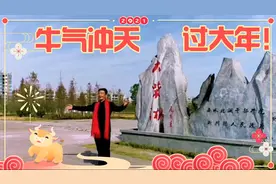 荆门大柴湖经济开发区最新宣传片视频封面