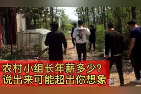 农村小组长年薪多少！说出来可能超乎你想象河南南部某偏远农村！视频封面