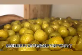 余甘果本地人称橄榄果、把它制成膏早晚一杯味道酸苦、慢慢回甘