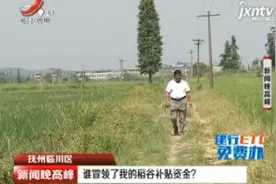 抚州临川区：谁冒领了我的稻谷补贴资金？视频封面