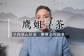 泡一泡市场稀少炭化过的鸿泰昌普洱生茶，湿仓厉害的生茶陈化而成视频封面