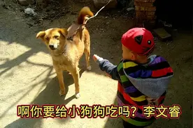 俗话说:七岁八岁狗都嫌。。。视频封面