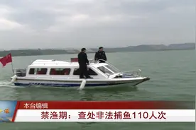 禁渔期十堰查处非法捕鱼110人次视频封面