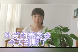 黑龙江省哈尔滨企业补发的养老金已经到账了，快来看看补了多少？视频封面