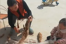 老爸地里刨来的“葛薯”，煲鸭子汤太好喝了,忍不住先喝一碗