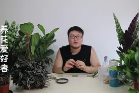 想把花养好 给花“开开荤” 花大根壮靠骨粉视频封面