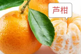 你还只知道芦柑、沃柑、皇帝柑吗？这里有20种，一起了解一下吧！