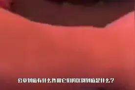 猪肉上“红章”和“蓝章”区别在哪 网友 原来吃了母猪肉