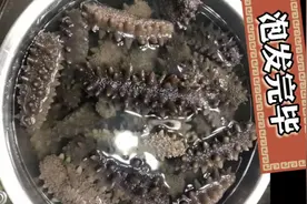 参海阁刺参海参泡发全过程视频封面