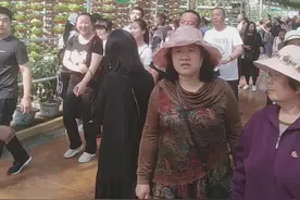 人比景好看视频封面