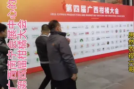 广西南宁第四届柑橘大会，都有那些品种的柑橘来展现呢？走去看看