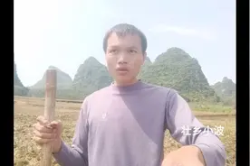 蚕吃过桑叶剩下的渣，通过发酵还可以拿来做农家肥，太好了。