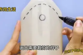 生活小技巧，塑料瓶子别扔了，巧给小猫剪指甲