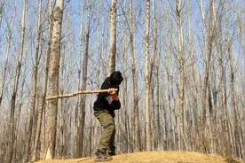 农村最原始现在罕见的搞柴火方法，老李一顿神操作，小伙伴惊呆了