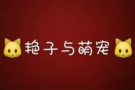 主人抱咪看看外面的世界，瞧咪好奇、渴望自由的眼神