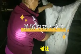 河源紫金杀猪的女大学生，她娴熟的解剖技艺，连老屠户都赞不绝囗视频封面