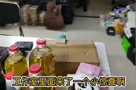 京东撸货，为啥被叫做“惊喜开箱”一分的包裹，开出10倍礼品视频封面