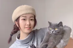 跨省异地出行指南，带猫回家需要准备什么？自驾高速情况如何