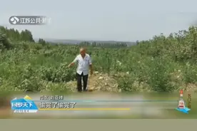 太过分了！瓜农5万斤西瓜遭村民哄抢，瓜农哭喊：偷完了偷完了视频封面