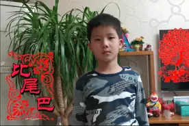 动物尾巴各不相同，都有什么特点呢？《比尾巴》告诉你！