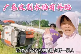 农民越来越好了，收割一亩水稻有48元补贴，你们那里有补贴吗视频封面