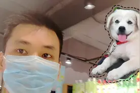 我用了2块5给宠物狗狗驱虫，效果怎么样呢#中华田园犬视频封面