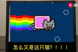 审核员与彩虹猫（此视频为搬运）视频封面