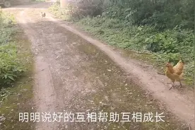 致那些偷偷取消关注的人，说好的互相成长，你们抱着什么心态这么