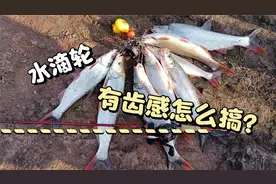 水滴轮齿感来自哪里，看我拆开一探究竟