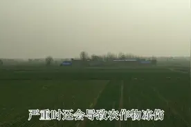今天立春，今年是双春年，立春后天气还会冷吗？答案来了视频封面