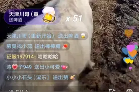 快手网红洋洋洋视频封面