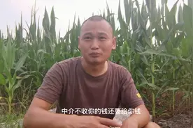 人人都说进电子厂拿返费，这返费到底是啥？听我唠唠你就明白了