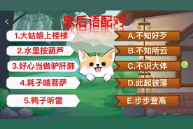 歇后语配对：好心当作驴肝肺-？鸭子听雷-？你是不是觉得熟悉视频封面