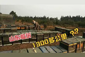 隔壁搬来新邻居，1300多公里外来，我们几户人家又要头疼了视频封面