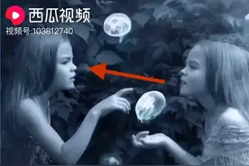 世界上最神秘的双胞胎视频封面