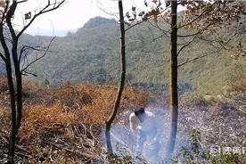 九零后小伙不出去找工作，在家跟老爸开荒种树，当起了光头强。视频封面