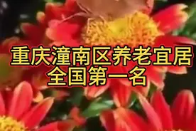 重庆潼南区全国养老宜居第一名