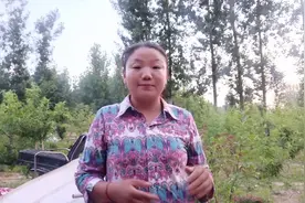 农村分户不是想分就能分的，利弊关系一定要考虑，4种情况分不成视频封面