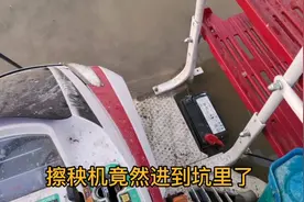 做好这一步骤，稻田基本再无草，看90后小伙如何做的。